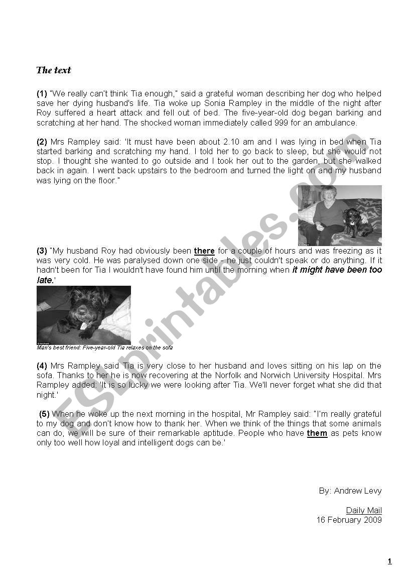  1st form full term test nÂ°3 worksheet