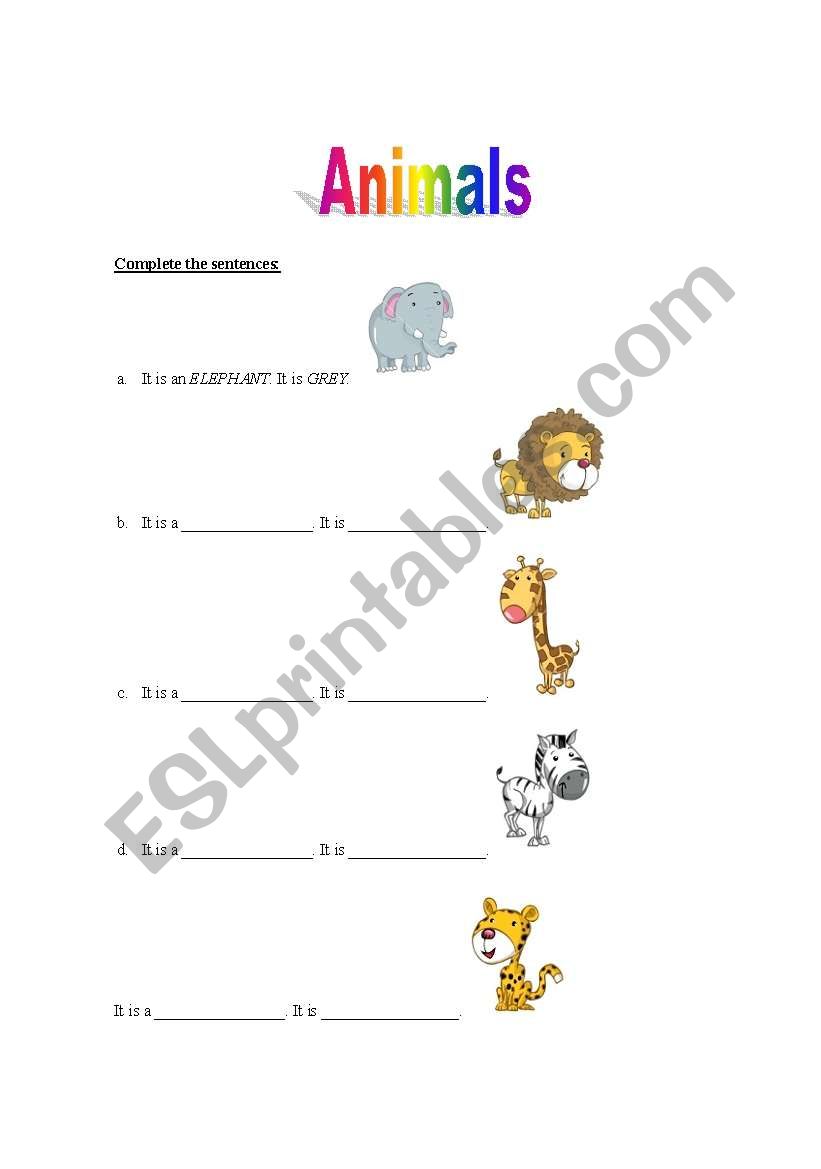 Animals worksheet