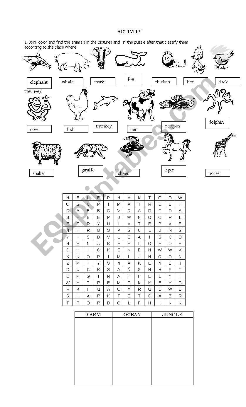 animals worksheet