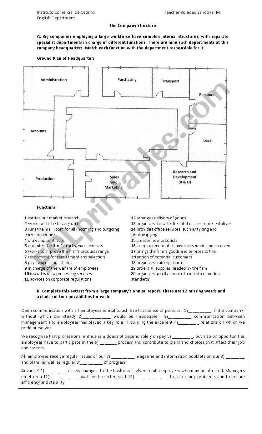 The Company Structure worksheet
