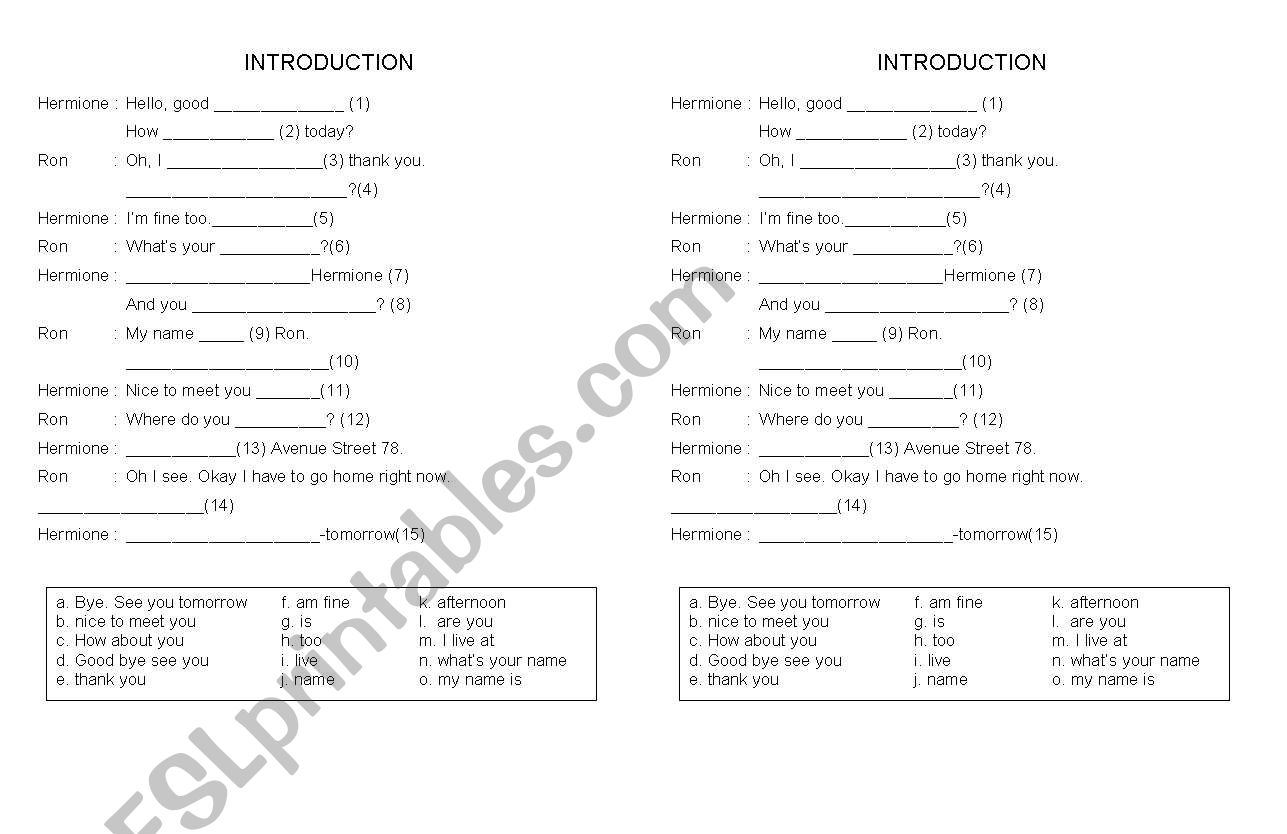 Introduction worksheet