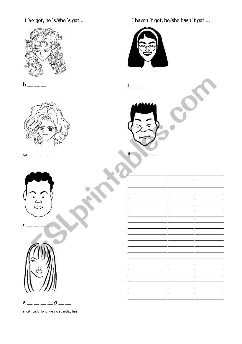 Hair worksheet