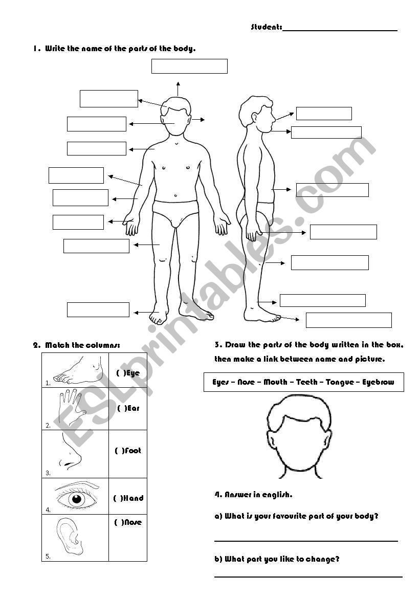 Parts of the body worksheet