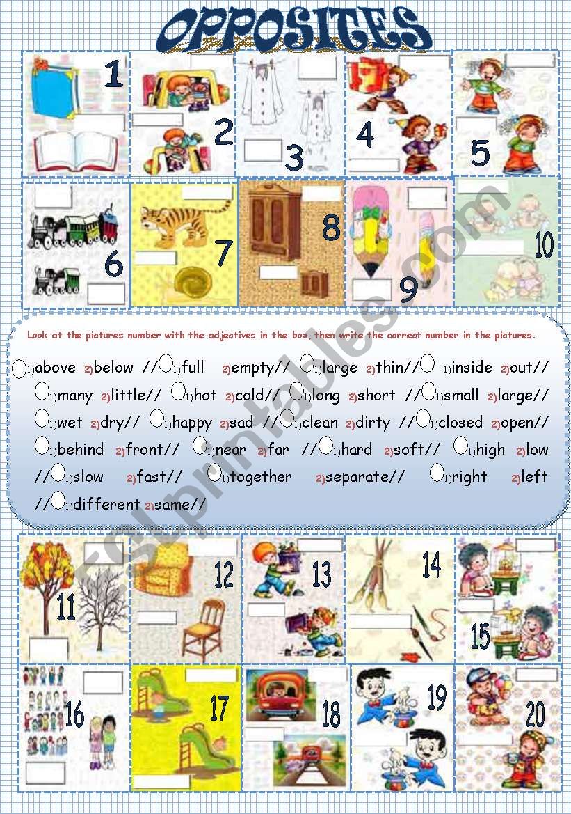 OPPOSITES worksheet