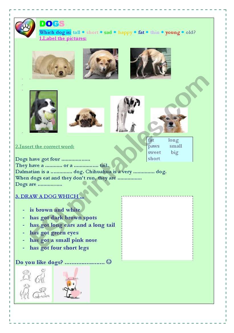 basic adjectives with dogs :) 