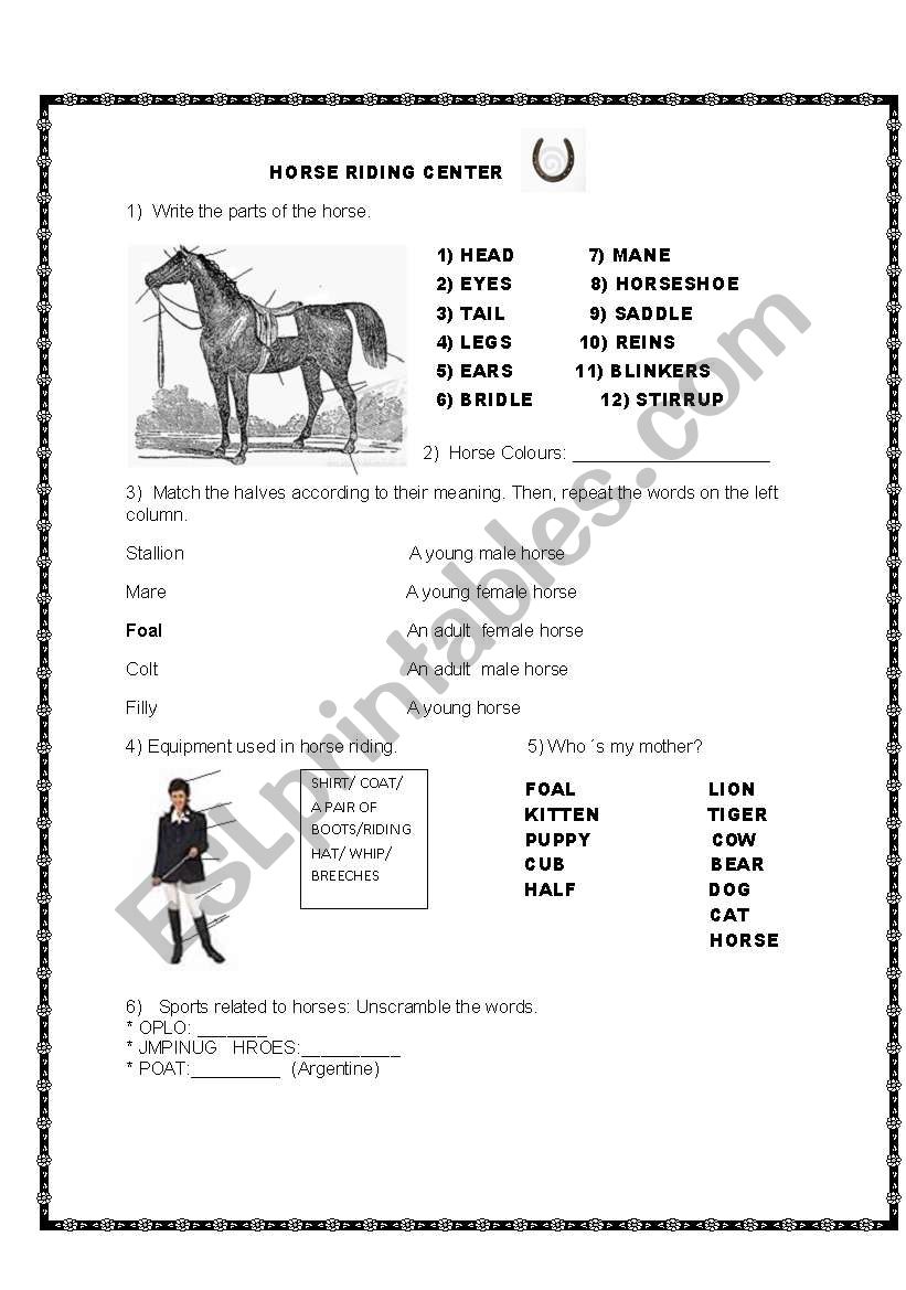 Horse Riding worksheet