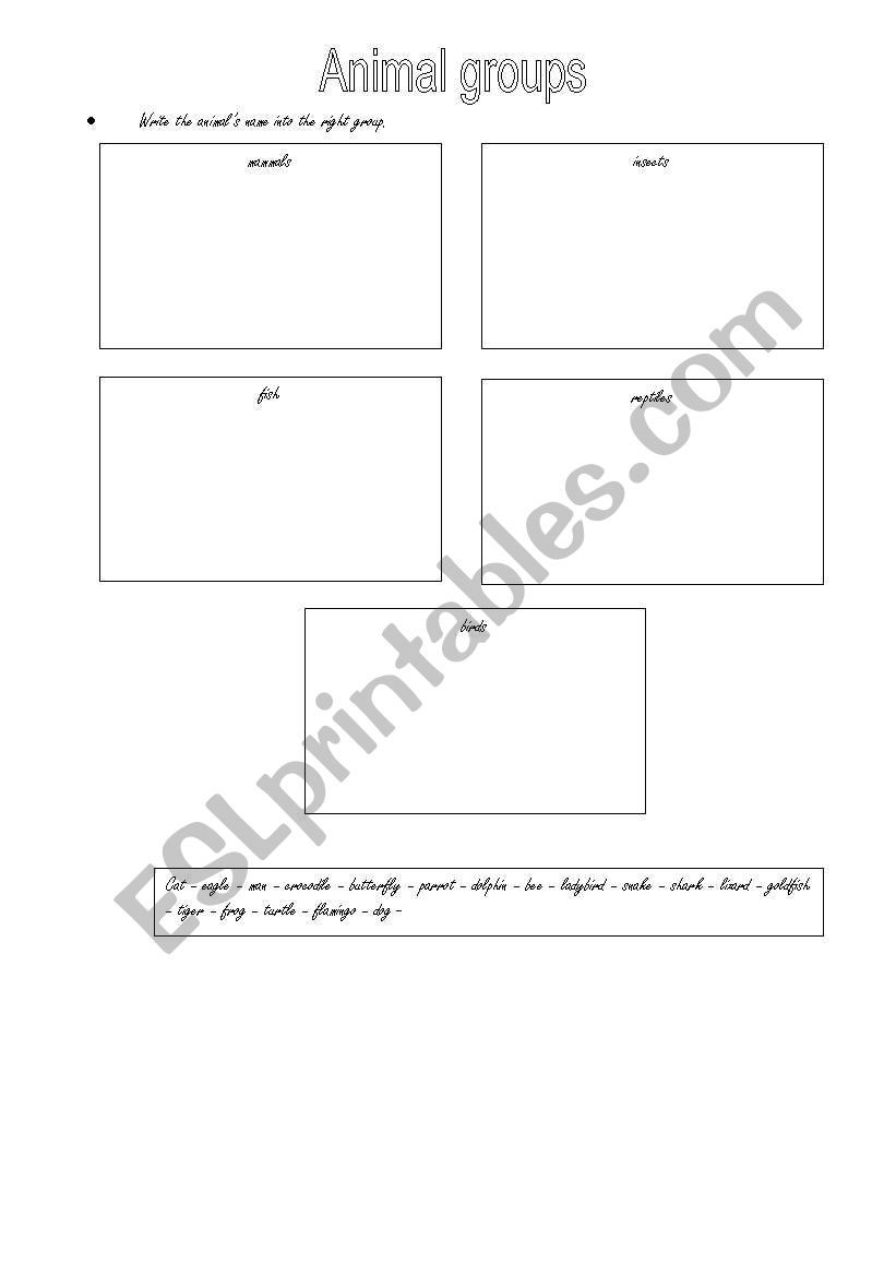 Animal groups worksheet