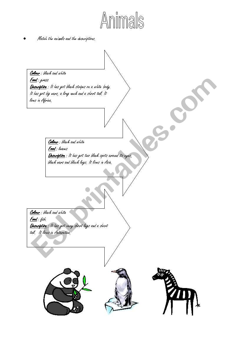 Animals worksheet