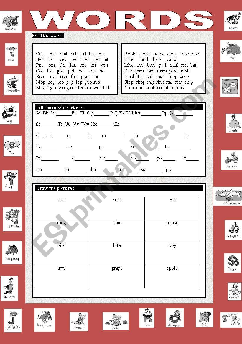 WORDS  worksheet