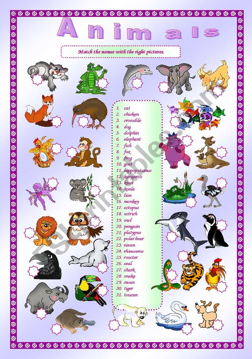 Animals - matching exercise (editable)