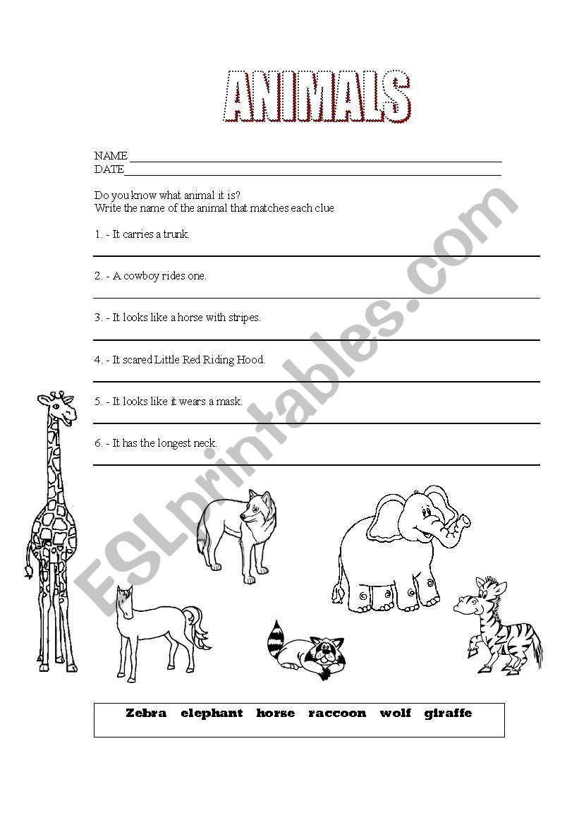 animals worksheet