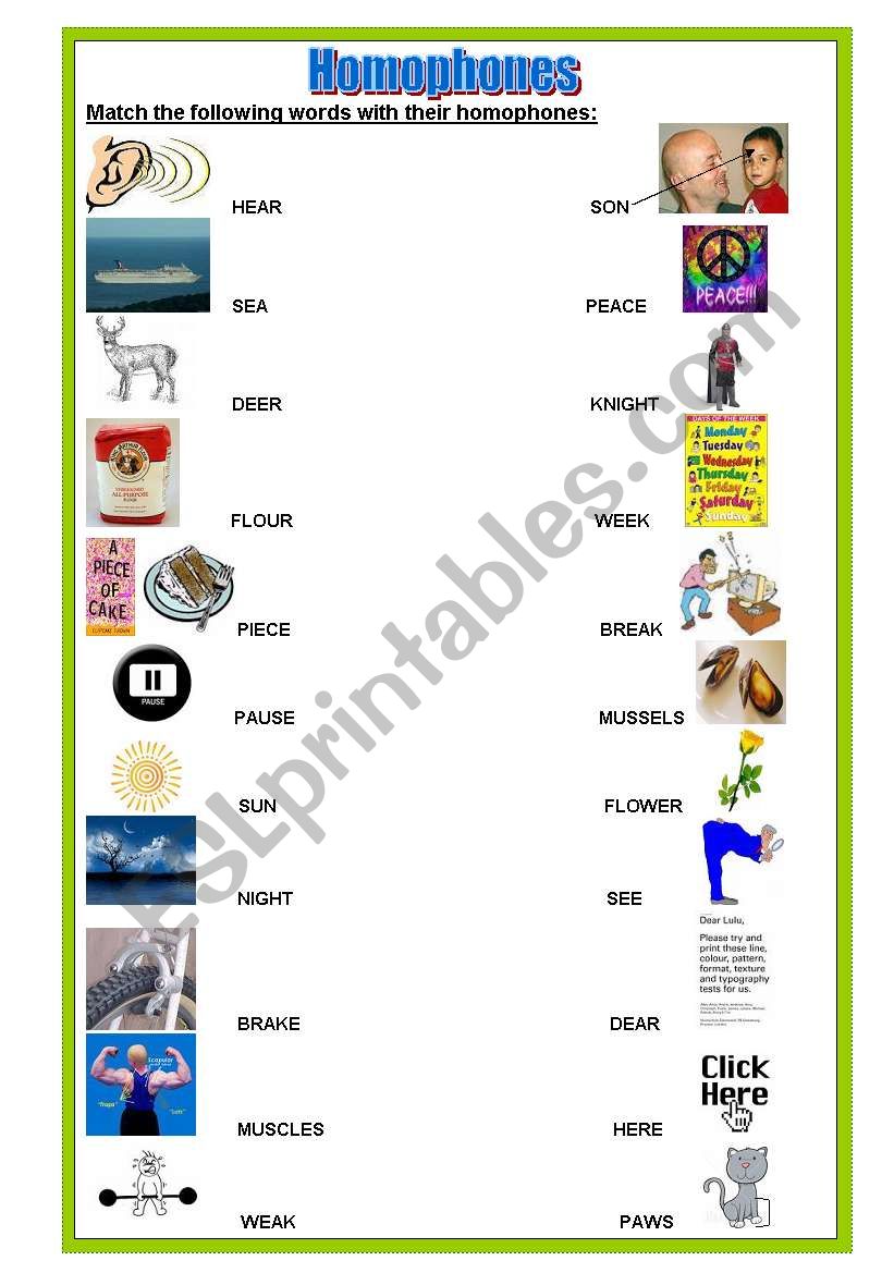 homophones worksheet