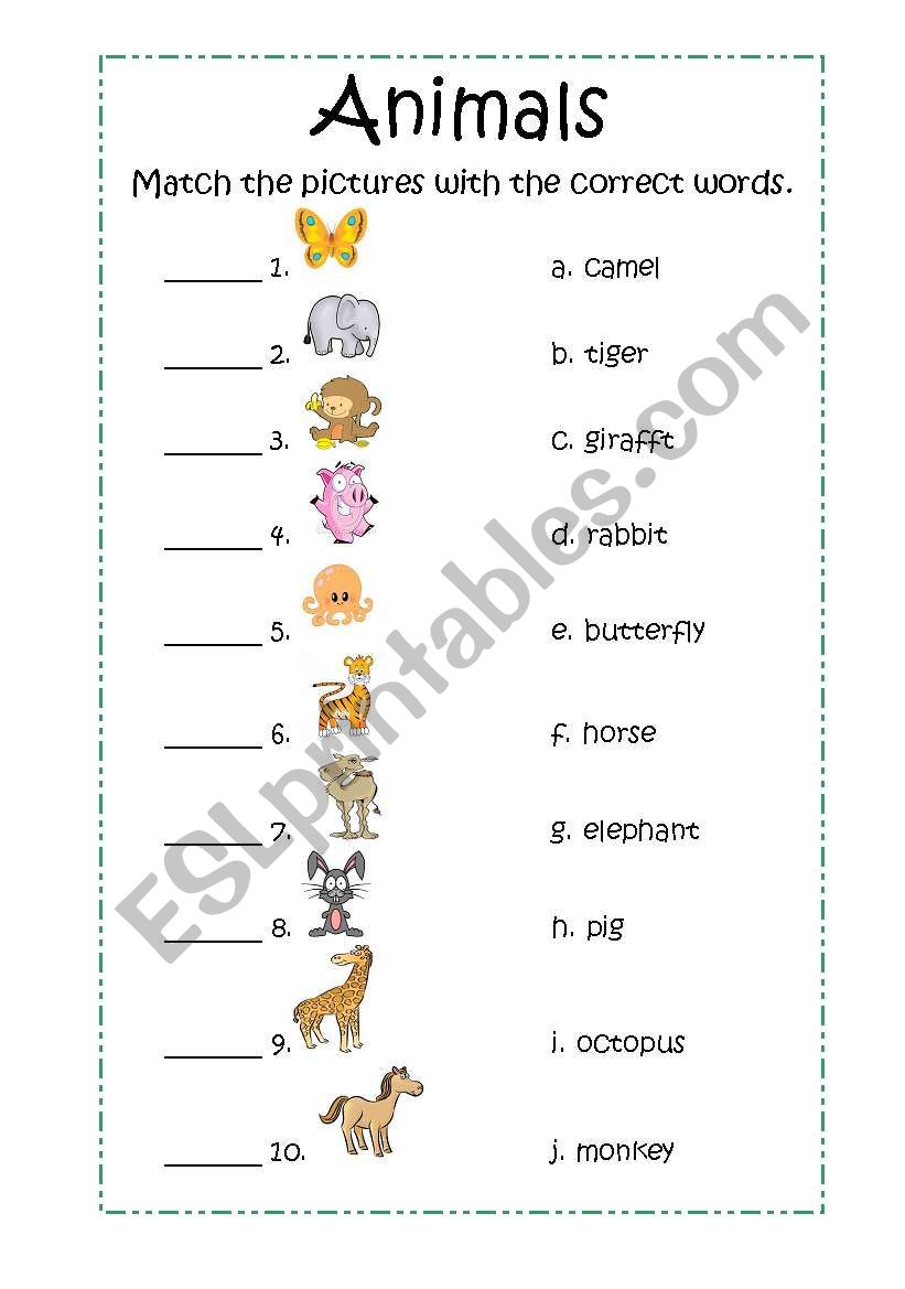 animals matching worksheet