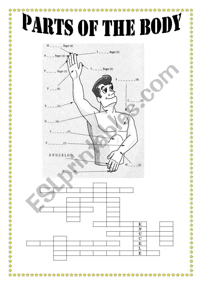 Parts of the body worksheet