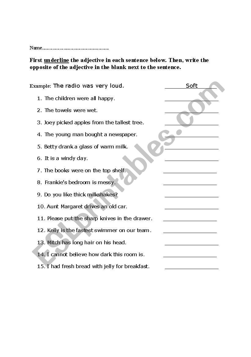 Adjective worksheet worksheet