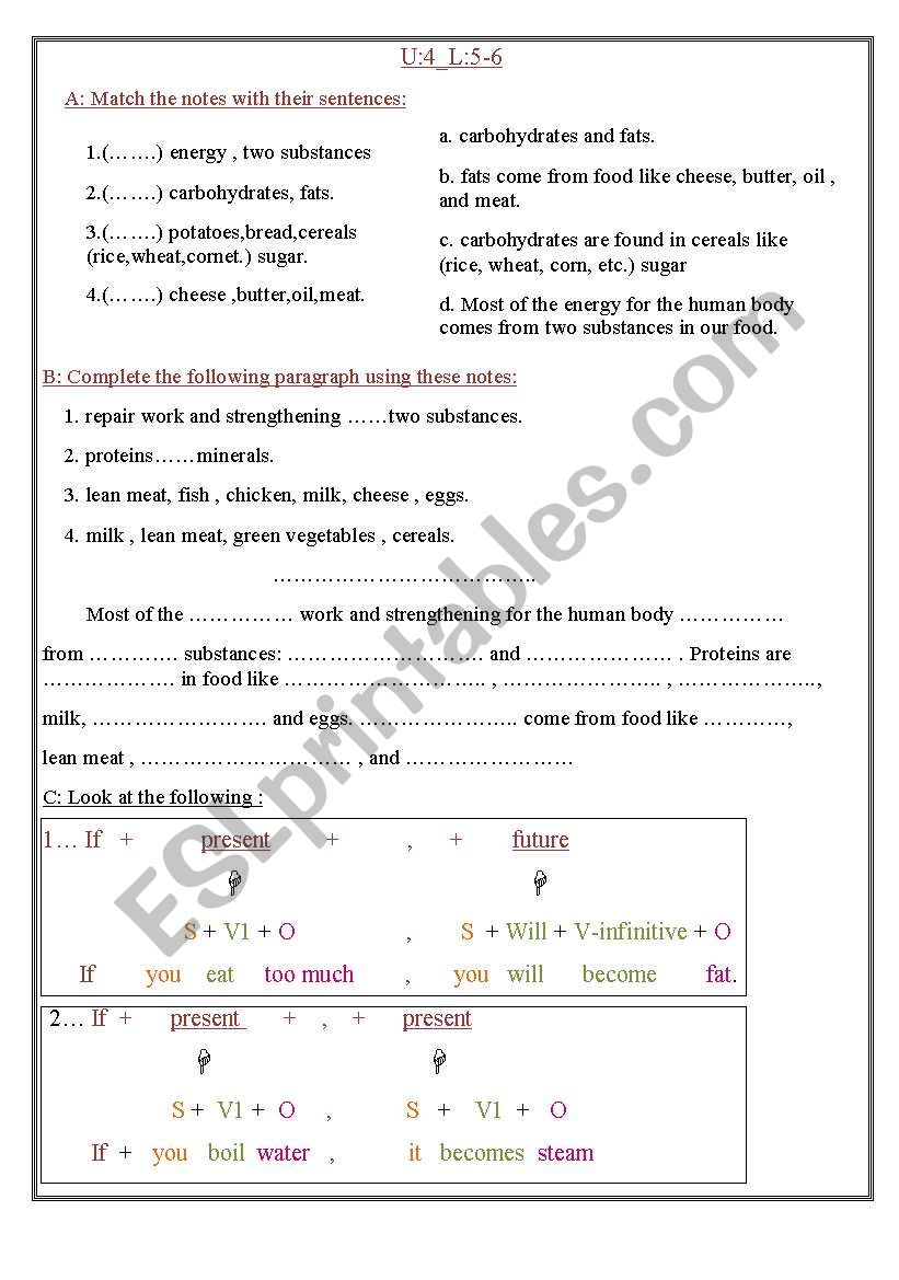 work sheet on food worksheet