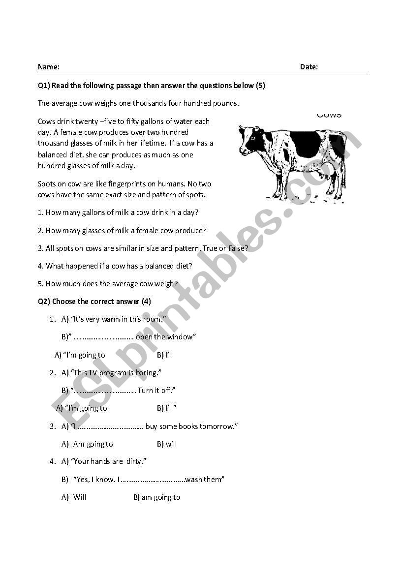 reading comprehension worksheet