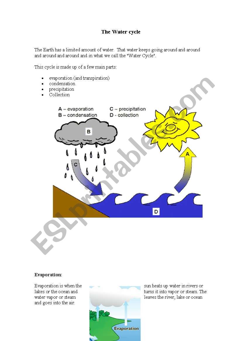The water cycle. Description, activities and great song with lyrics