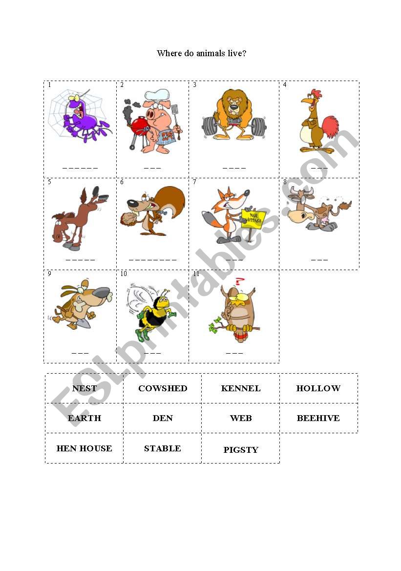 Where do animals live? worksheet