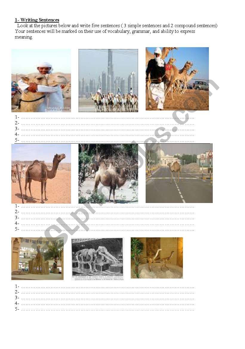 describing pictures worksheet