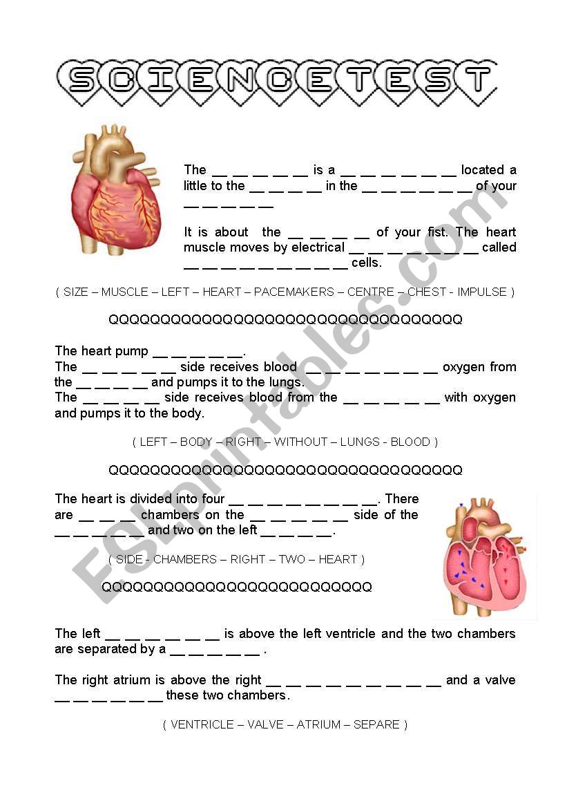 test about cardiovascular system