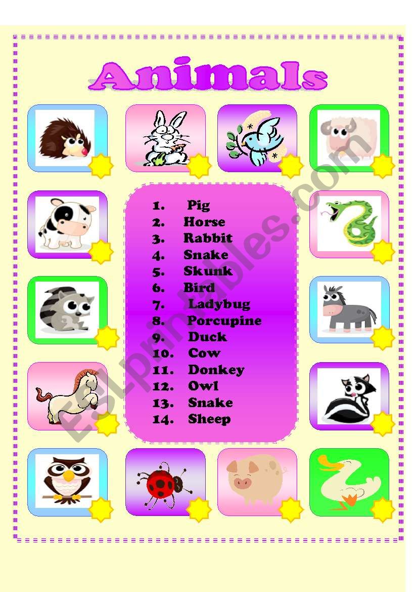 Animals worksheet