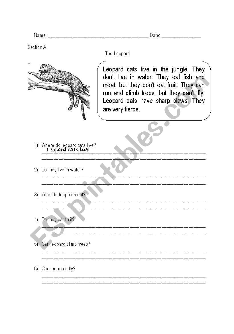 The Leopard worksheet