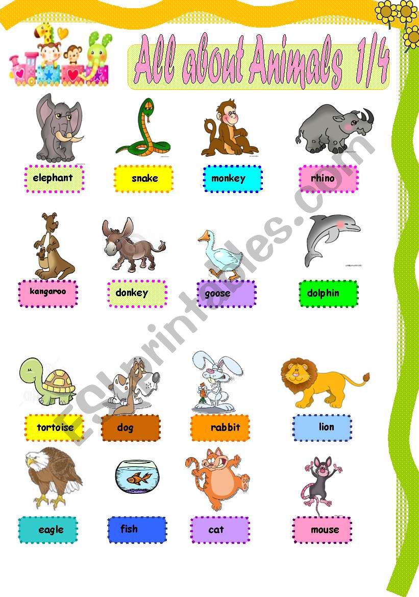 All about animals 1 worksheet