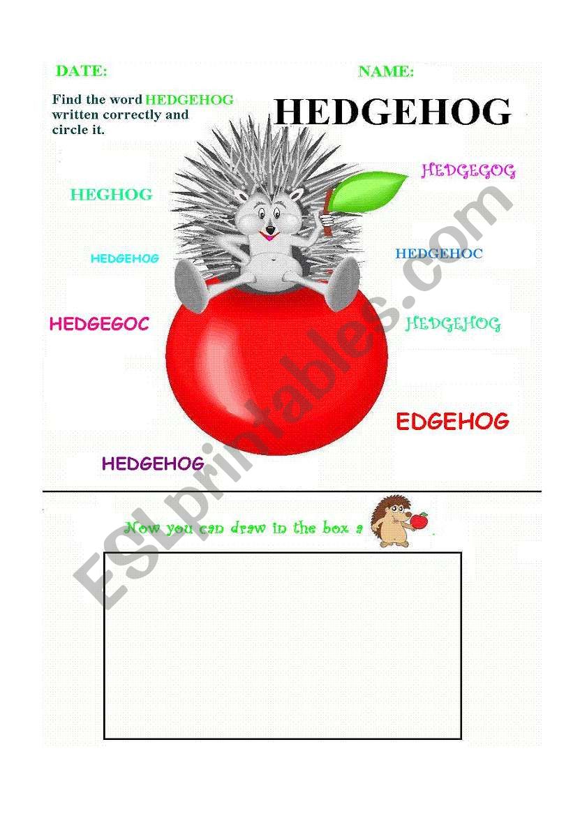 Circle the right word - Hedgehog