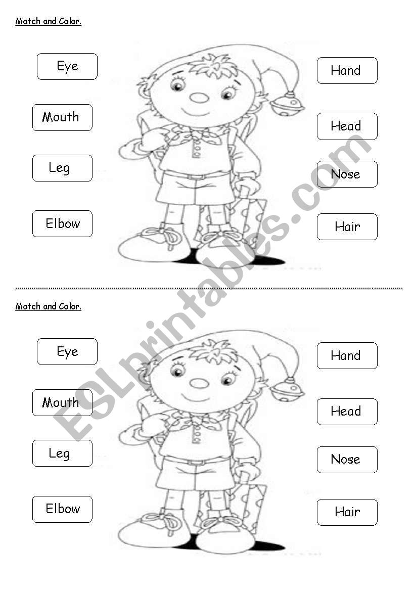 Body parts worksheet