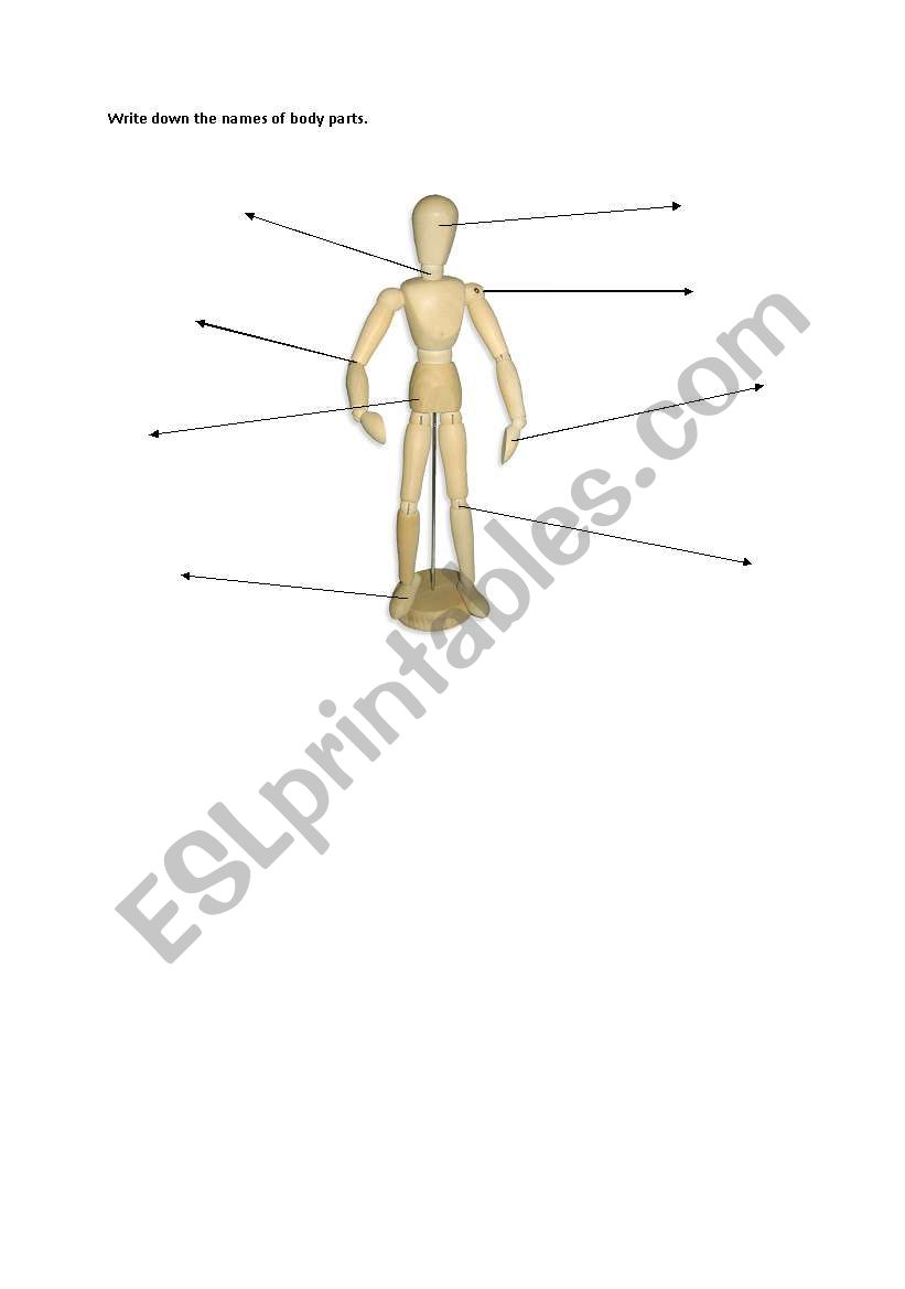Test - body parts worksheet
