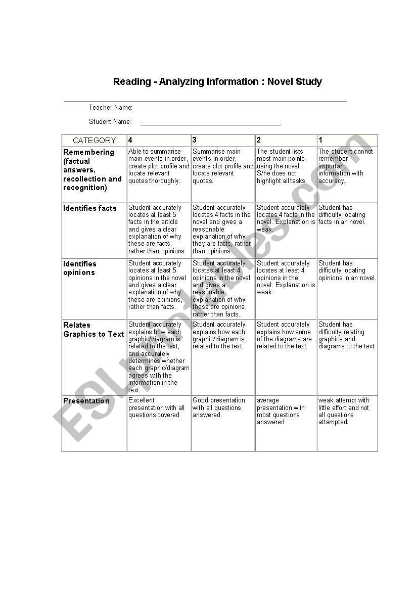 marking rubric for novel study