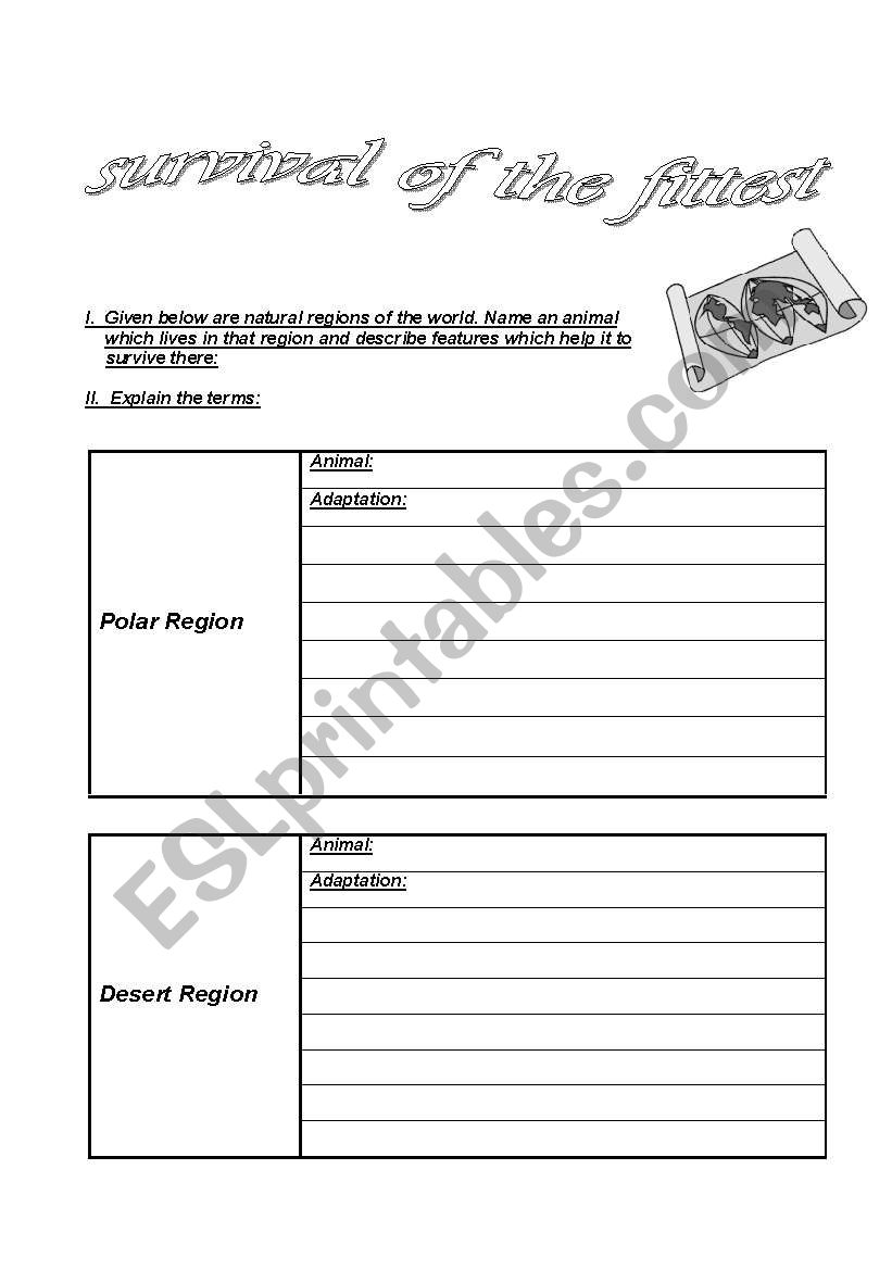 Animal Adaptation worksheet