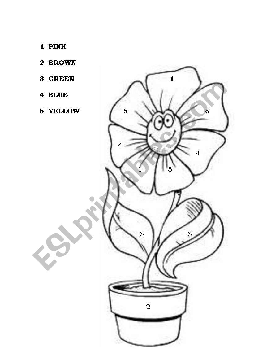 color the flower worksheet