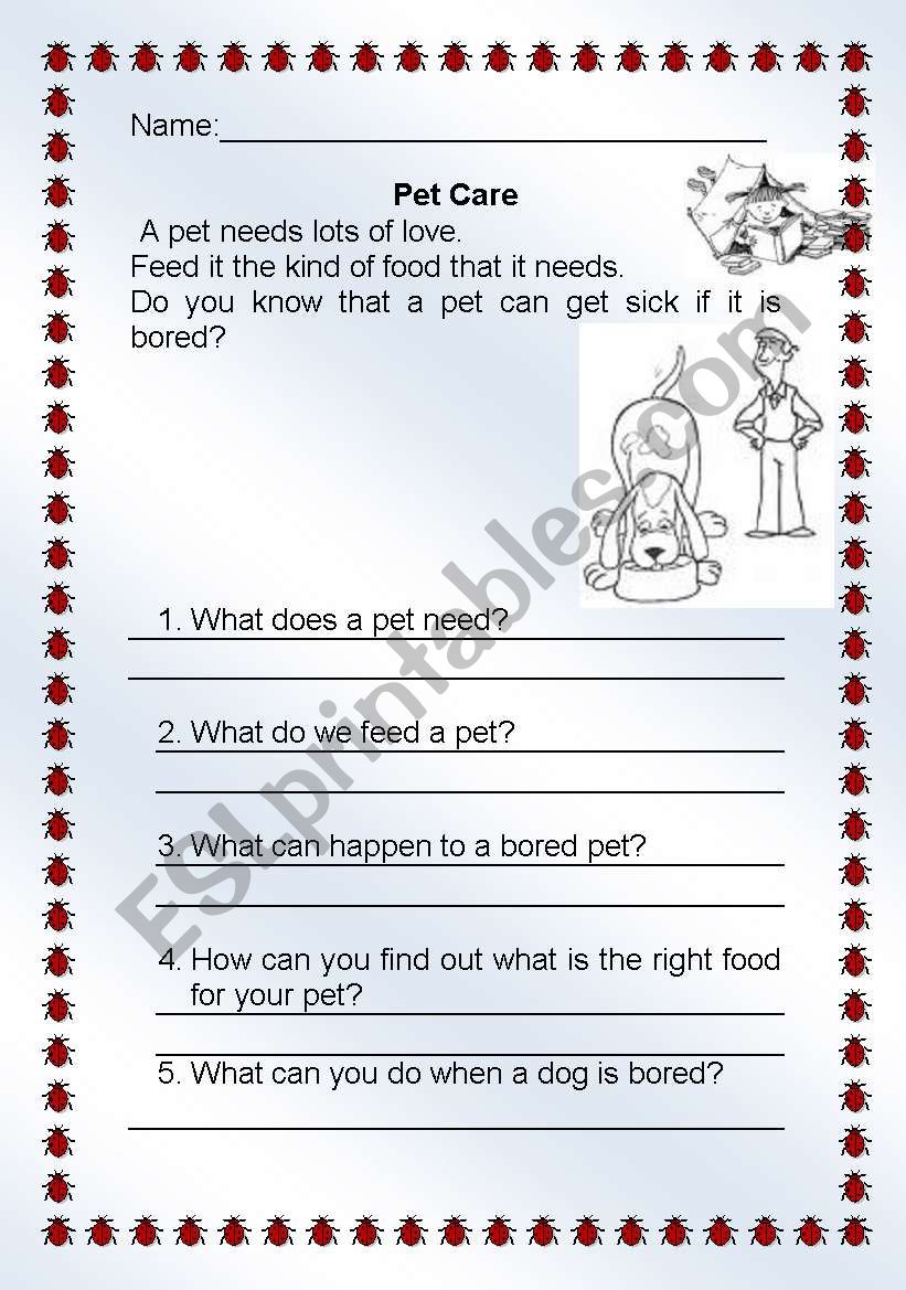 animals worksheet