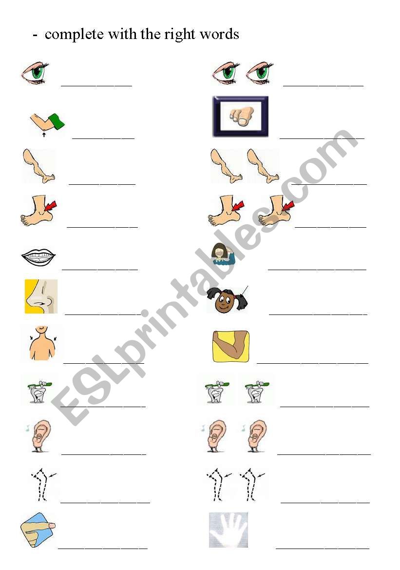 PRACTICE SINGULAR AND PLURAL WITH THE PARTS OF THE BODY