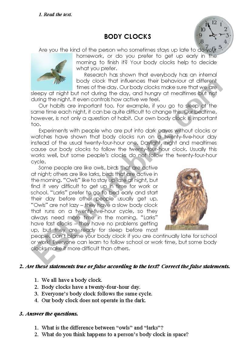 BODY CLOCKS worksheet