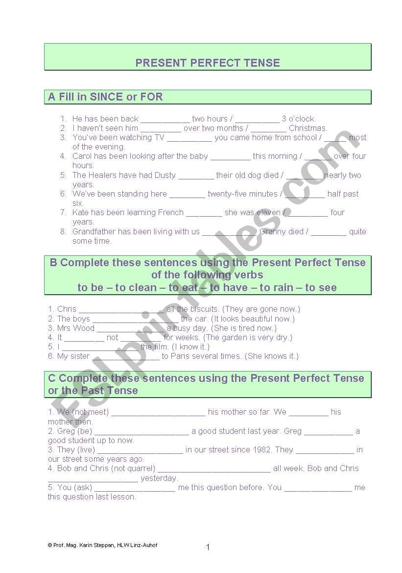 present perfect tense worksheet