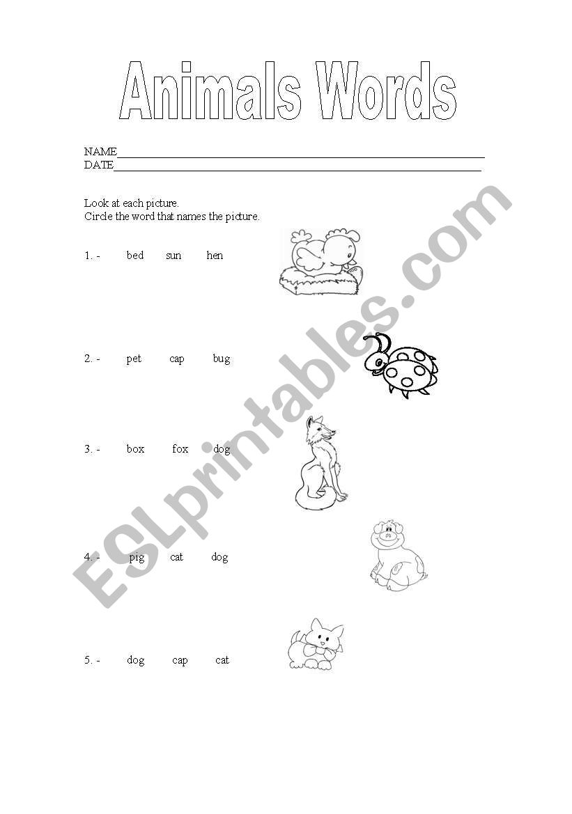 animals words worksheet