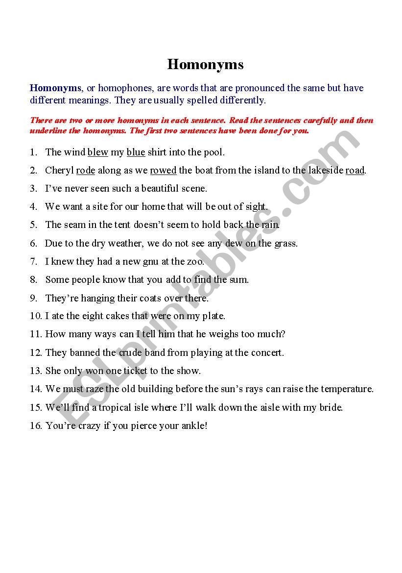 Homonyms worksheet