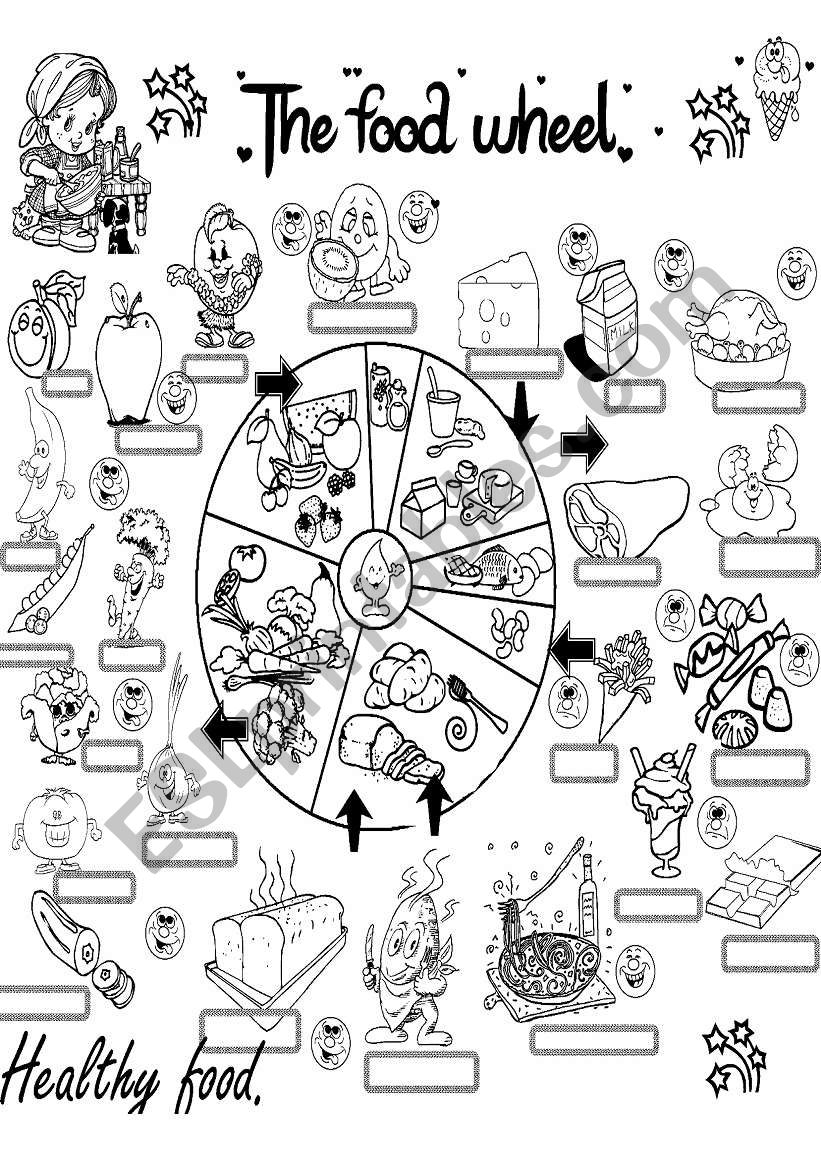 the food wheel worksheet