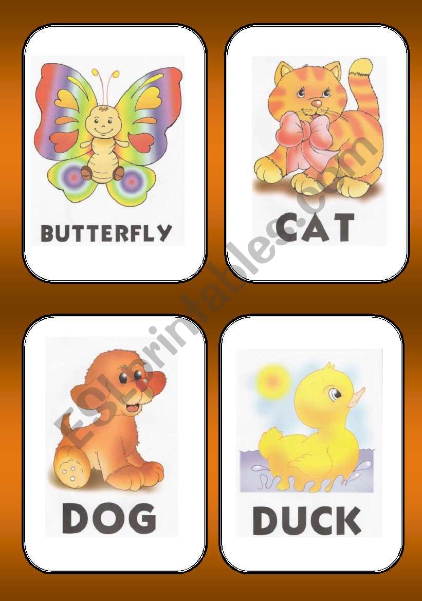 ANIMALS FLASHCARD worksheet