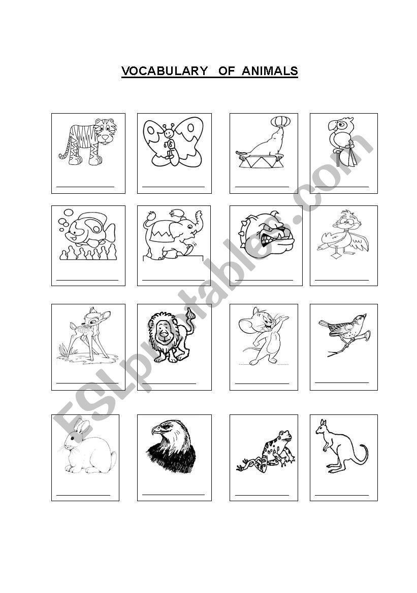 animals worksheet