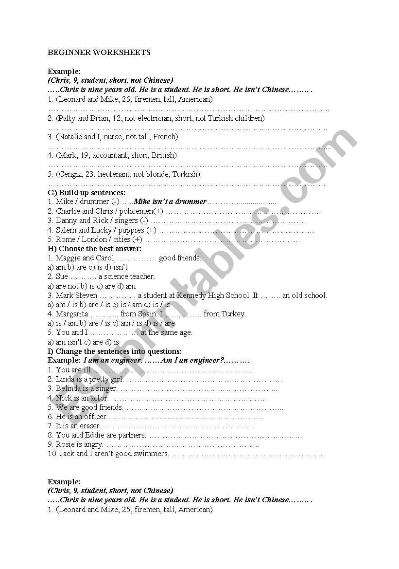 BEGINNER WORKSHEETS worksheet