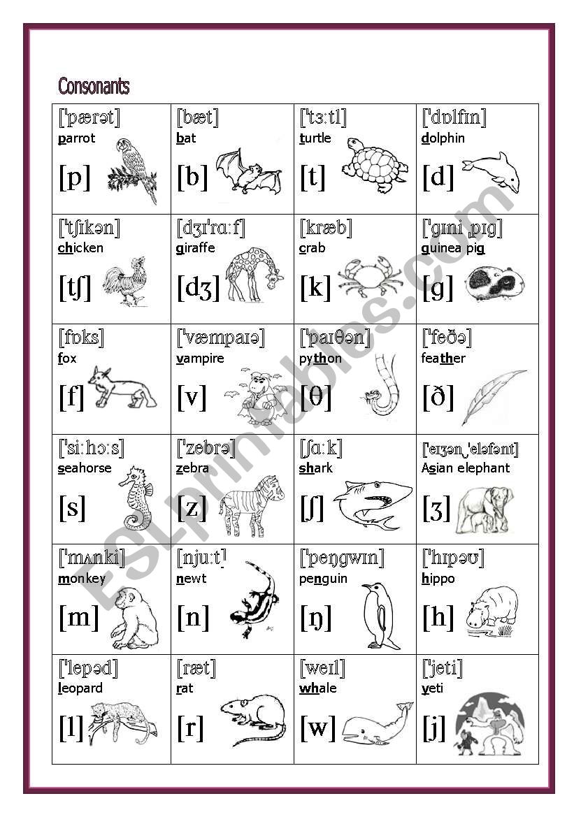 My Phonetic Animal Alphabet Flash cards 7/7 - ESL worksheet by