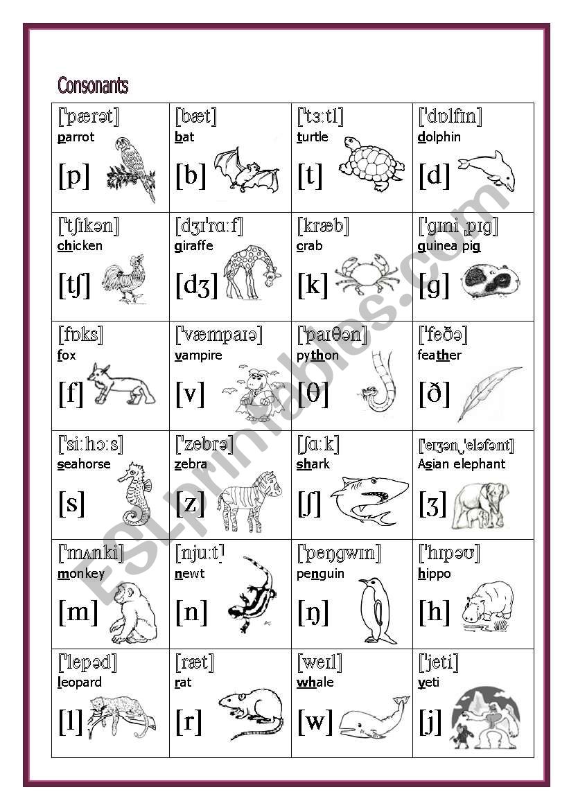 The International Phonetic Alphabet English Sounds 2 2 Consonants ESL Worksheet By Alkje
