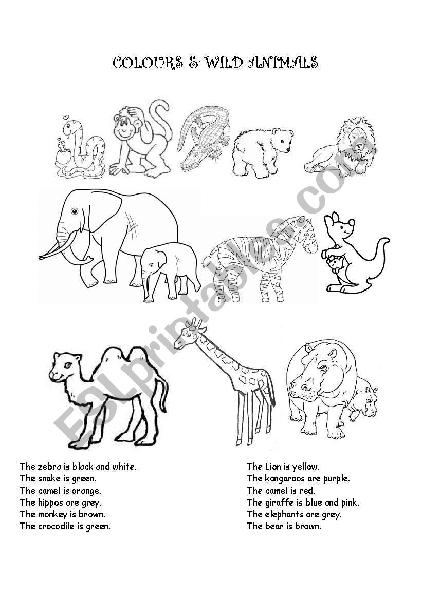 Colours and wild animals worksheet