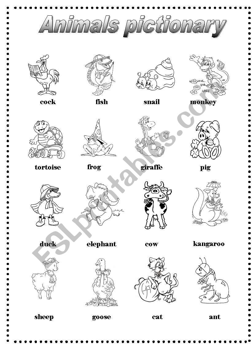 Animals worksheet