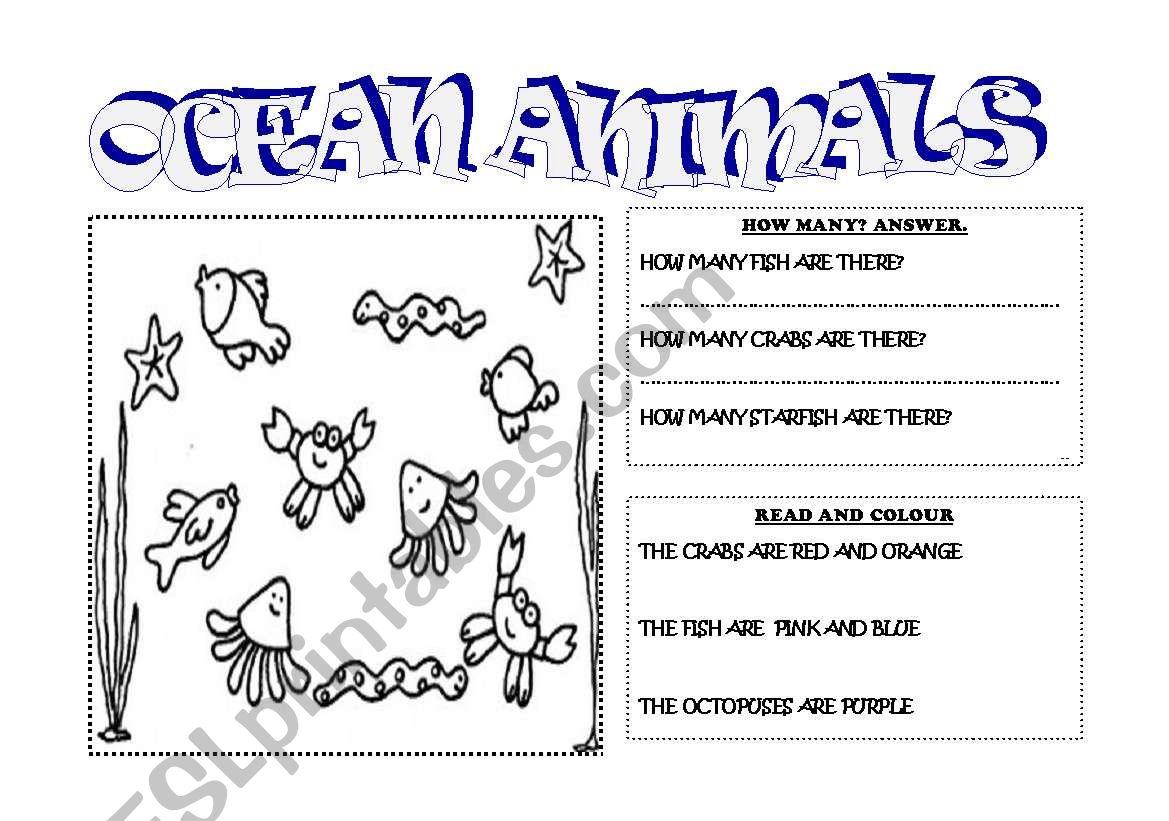 ocean animals worksheet