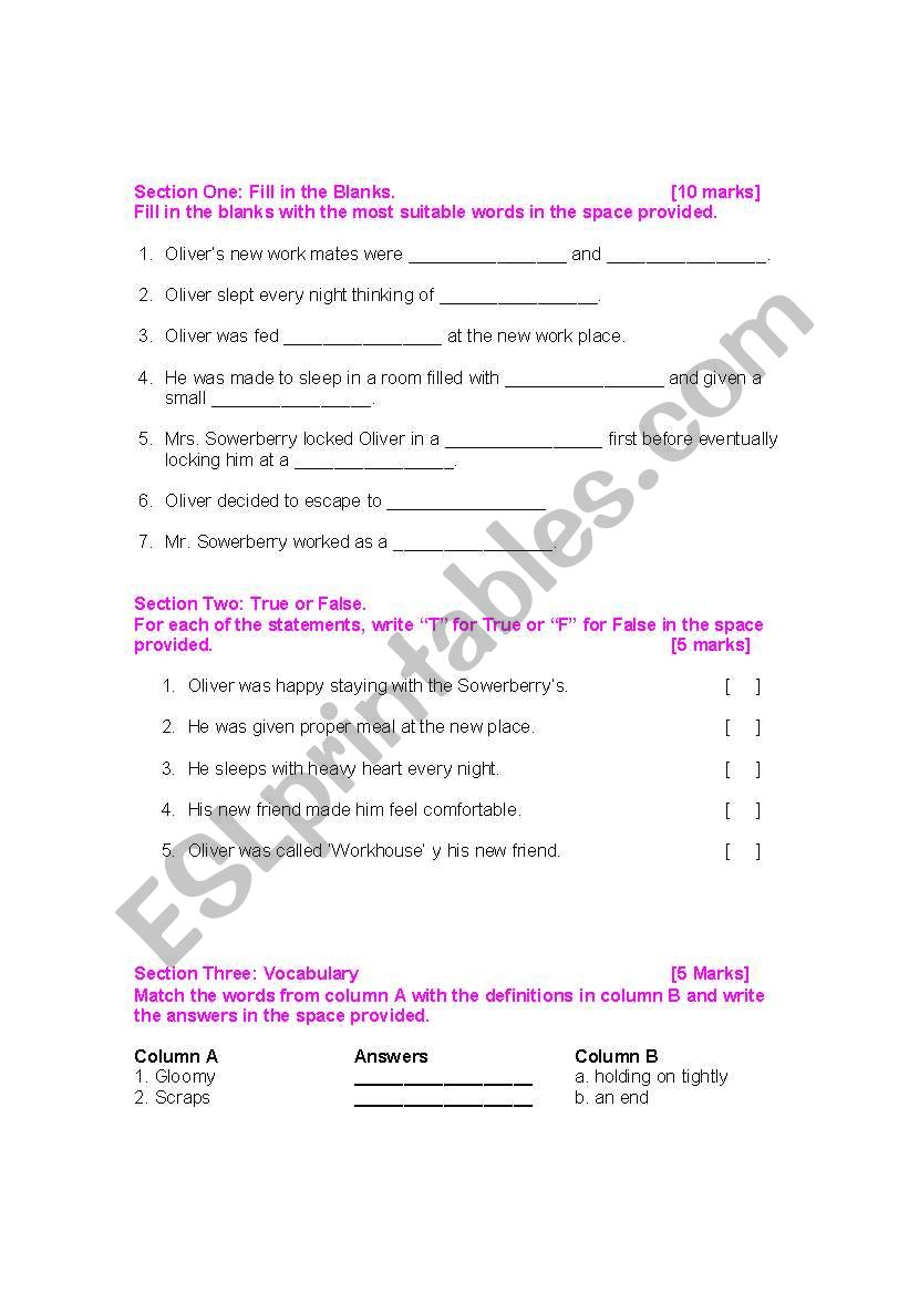 Oliver Twist chapter 1-4 worksheet